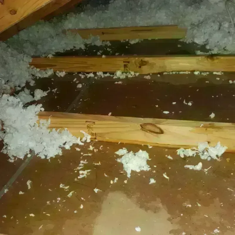 Attic Water Damage in Story City, IA